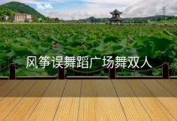 风筝误舞蹈广场舞双人