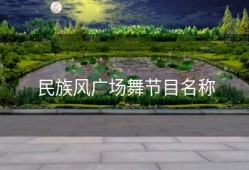 民族风广场舞节目名称
