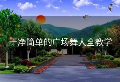 干净简单的广场舞大全教学