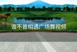 谁不曾相遇广场舞视频