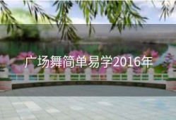 广场舞简单易学2016年