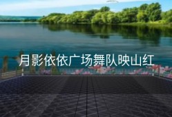 月影依依广场舞队映山红