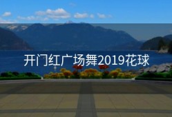 开门红广场舞2019花球