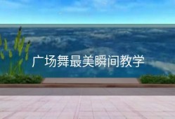 广场舞最美瞬间教学