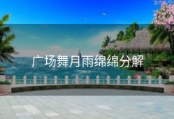 广场舞月雨绵绵分解