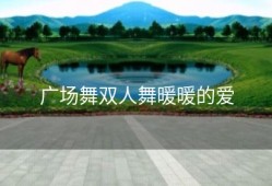 广场舞双人舞暖暖的爱