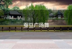 蚕豆广场舞