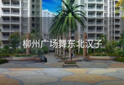 柳州广场舞东北汉子