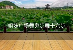 姐妹广场舞鬼步舞十六步