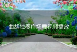 曲胡独奏广场舞视频播放