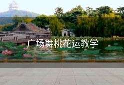 广场舞桃花运教学