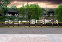 石家庄五一公园广场舞视频