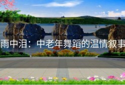 雨中泪：中老年舞蹈的温情叙事
