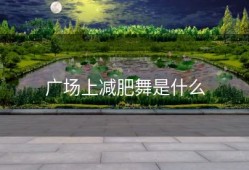 广场上减肥舞是什么