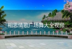 相思情歌广场舞大全视频