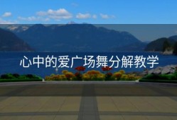 心中的爱广场舞分解教学