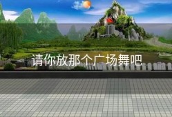 请你放那个广场舞吧