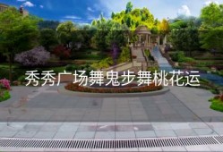 秀秀广场舞鬼步舞桃花运