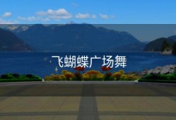 飞蝴蝶广场舞