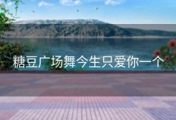 糖豆广场舞今生只爱你一个