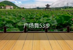 广场舞53步