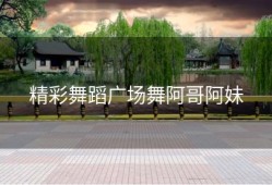 精彩舞蹈广场舞阿哥阿妹