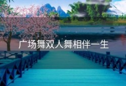 广场舞双人舞相伴一生