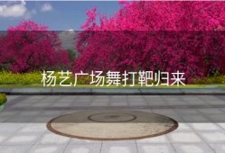 杨艺广场舞打靶归来