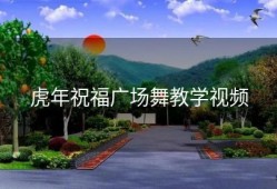 虎年祝福广场舞教学视频