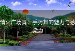 情火广场舞：手势舞的魅力与感染力