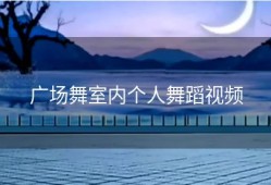 广场舞室内个人舞蹈视频