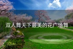 双人舞天下最美的花广场舞