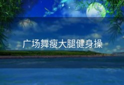 广场舞瘦大腿健身操