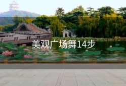美观广场舞14步