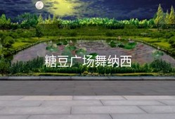 糖豆广场舞纳西