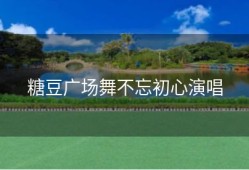 糖豆广场舞不忘初心演唱