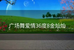 广场舞爱情36度8金灿灿