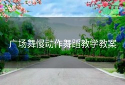 广场舞慢动作舞蹈教学教案