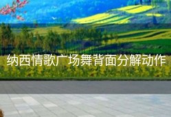 纳西情歌广场舞背面分解动作