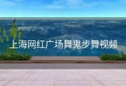 上海网红广场舞鬼步舞视频