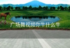 广场舞视频你牛什么牛