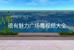 很有魅力广场舞视频大全