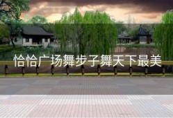 恰恰广场舞步子舞天下最美