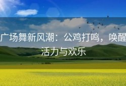 广场舞新风潮：公鸡打鸣，唤醒活力与欢乐