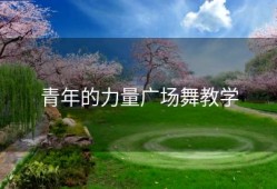 青年的力量广场舞教学