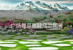 广场舞草原醉乌兰图雅