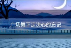 广场舞下定决心的忘记
