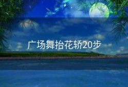 广场舞抬花轿20步