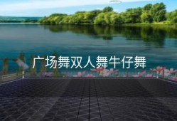 广场舞双人舞牛仔舞