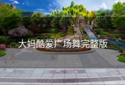 大妈酷爱广场舞完整版